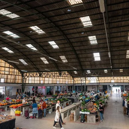 Villa Bayview A Sua Casa à Beira Mar - 20 Mt Da E Da Famosa Bola Nivea *