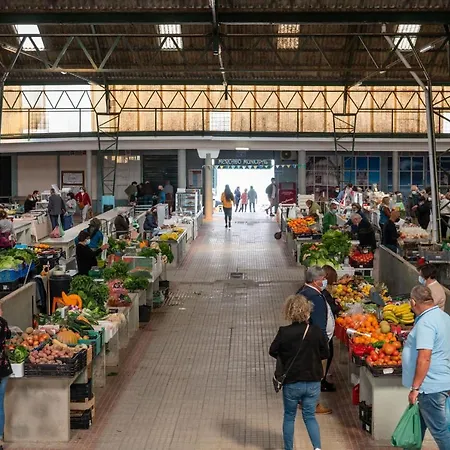 Bayview A Sua Casa à Beira Mar - 20 Mt Da E Da Famosa Bola Nivea