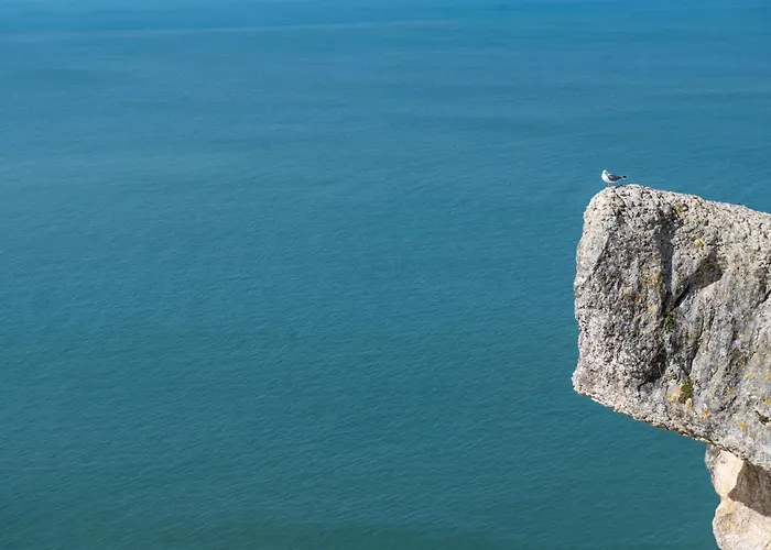 Bayview A Sua Casa à Beira Mar - 20 Mt Da E Da Famosa Bola Nivea * Nazaré